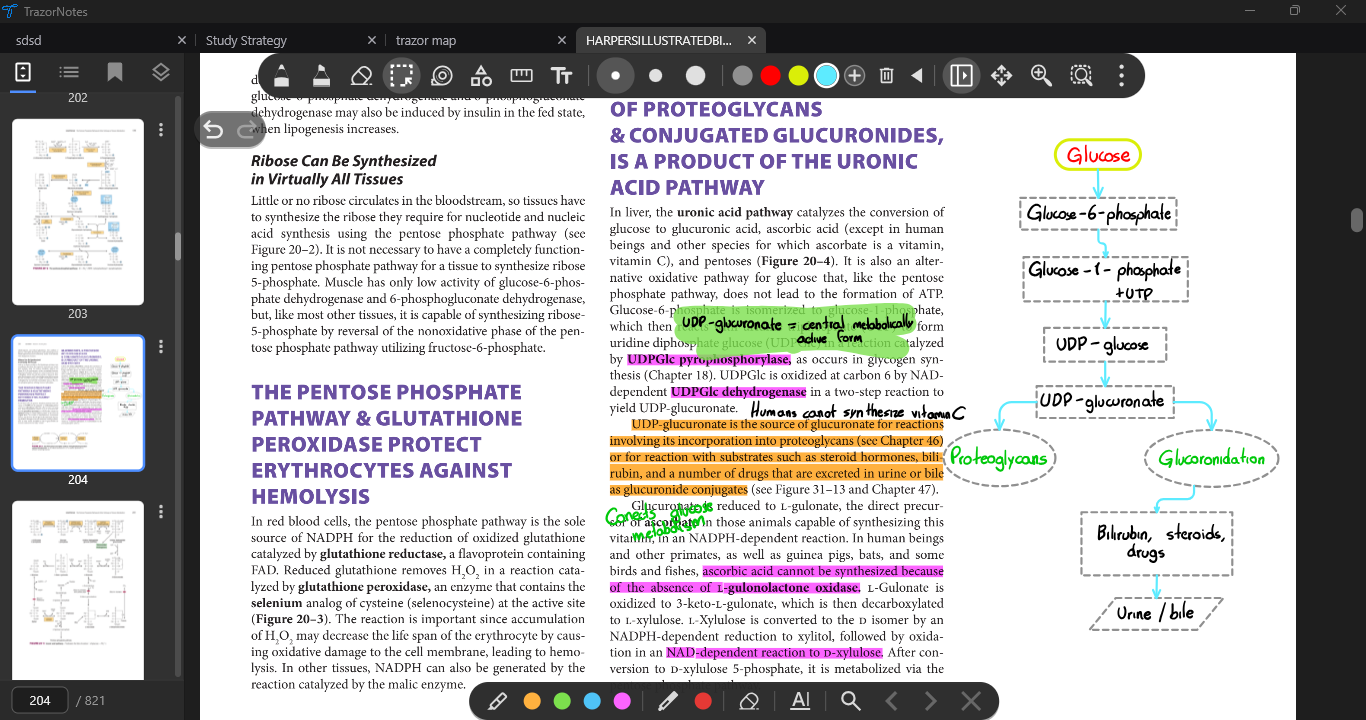 Light PDF view with selectable textbook text, highlights, annotations and page thumbnails