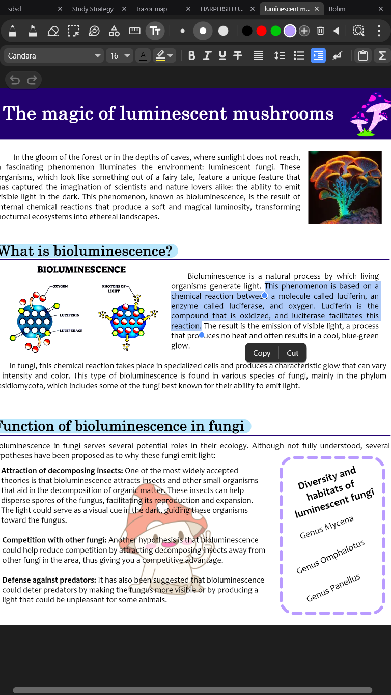Rich text note with formatting toolbar, headings and images