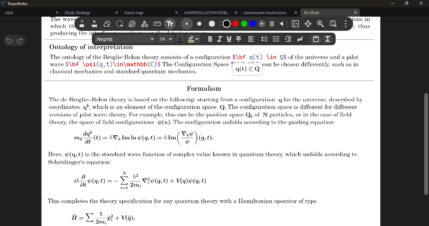 Typeset LaTeX equations placed among formatted notes